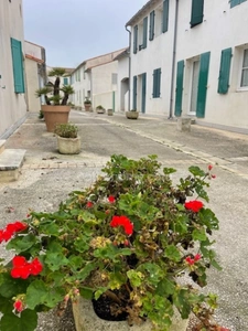 Appartement  grand  2 pièces SAINT MARTIN DE RE 17410