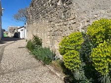 Maison à vendre 5 pièces SAINTE MARIE DE RE 17740