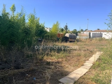 Maison à vendre 4 pièces LE BOIS PLAGE EN RE (17)