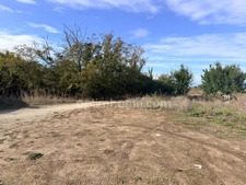 Terrain d'exception au Bois-Plage-en-Ré – Un havre de paix