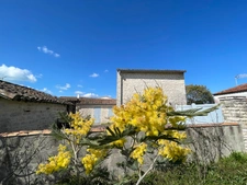 Maison en pierres de 4 chambres dont une en dépendance, proche du centre de SAINTE MARIE DE RE 17740