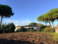Terrain à vendre  LE BOIS PLAGE EN RE (17)