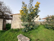 Grande propriété en pierres de 3 chambres avec une dépendance   SAINTE MARIE DE RE - 17740