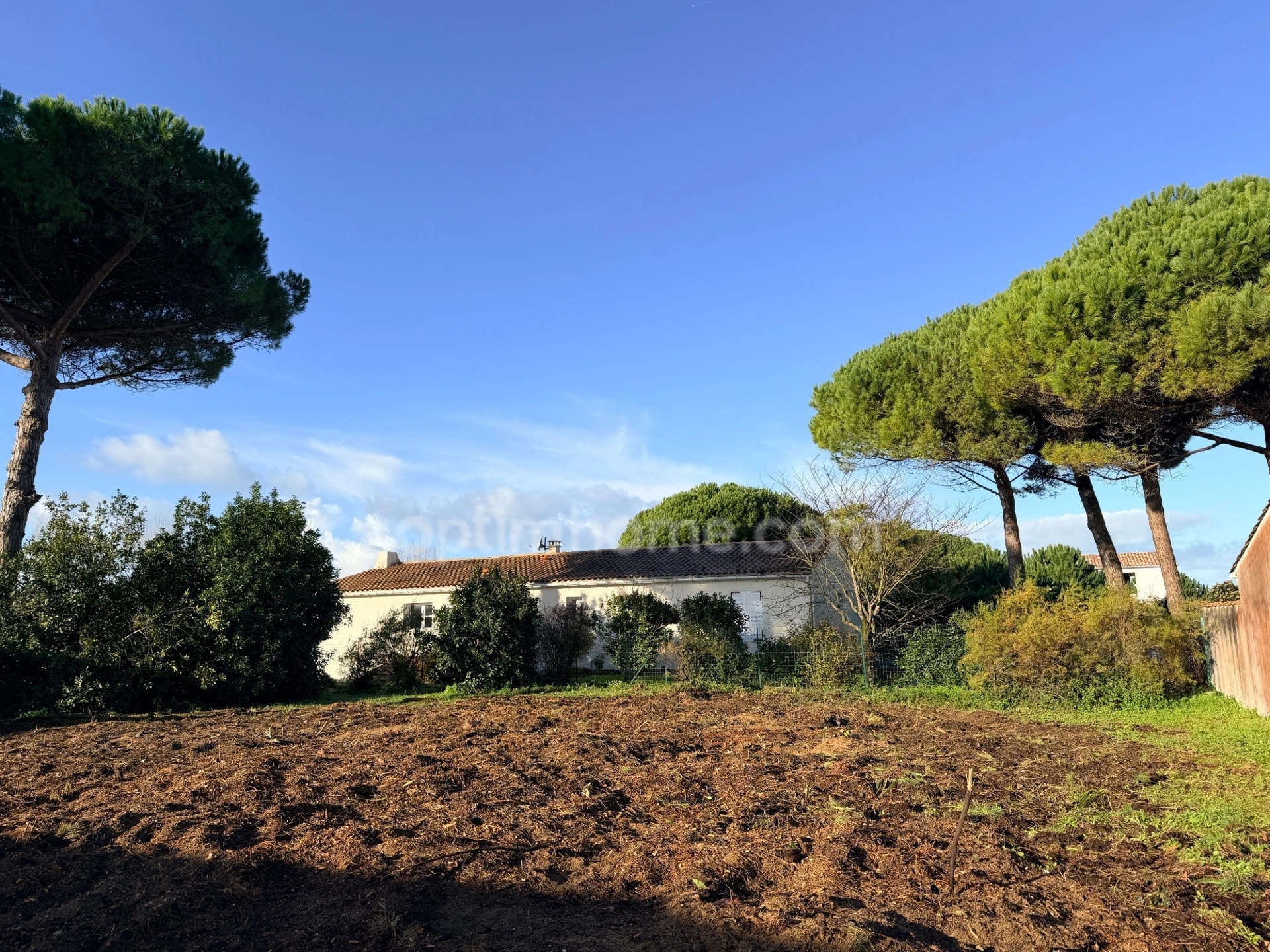 Terrain à vendre LE BOIS PLAGE EN RE (17) · 529 000 €
