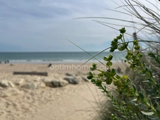 Maison dans la pinède de 5 pièces avec possibilités  LE BOIS PLAGE EN RE 17580