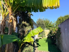 Maison de Charme au Cœur du Bois plage en Ré 