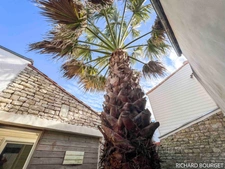 Ensemble immobilier comprenant  deux biens avec grand  garage SAINTE MARIE DE RE - 17740