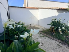 Au cœur du Bois-Plage-en-Ré  Vivre l’Île de Ré à pied : Le charme, le calme et la plage.