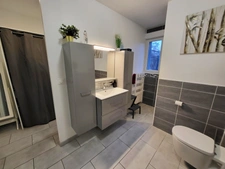 Maison à vendre 15 pièces ARGOL (29)