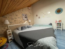 Charmante Maison Tourangelle à vendre 4 chambres 7 pièces  (37 CENTRE VILLE DE TOURS)