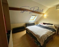 Maison à vendre 6 pièces CROTELLES + grange (37)