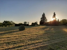 Grand Terrain de 1 349,00 m² CROTELLES (37) 20 min TOURS NORD Libre constructeur