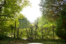 Terrain de loisirs à proximité de la rivière 995 M²– Cadre naturel exceptionnel
