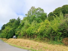 Terrain de loisirs à proximité de la rivière 995 M²– Cadre naturel exceptionnel