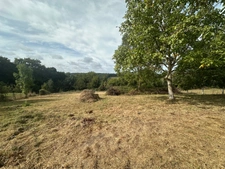 Vue sur la vallée