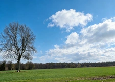 Volume et grand terrain