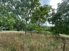 Vue sur la vallée