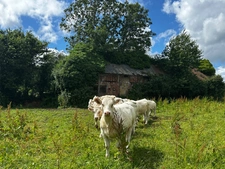 Ensemble de caractère avec 3,7 hectares de terrain