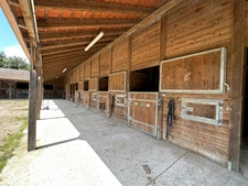 La passion des chevaux