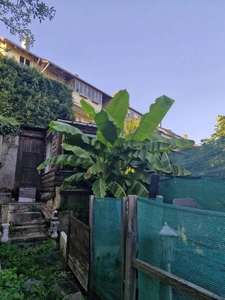 Appartement à vendre 5 pièces NILVANGE (57)