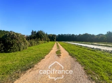 Mas en campagne à vendre 250m² à MOLLEGES, 4 chambres, beaux volumes , terrain 5 000m², piscine,  calme et sérénité   