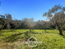 LES TAILLADES, detached single-storey house of 210 m2 in the countryside, 4 bedrooms, on a plot of approximately 2900 m2, swimming pool