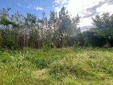Building plot of 639 m2, marked out, free builder, flat and sunny, village center, not serviced.