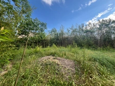 Building plot of 639 m2, marked out, free builder, flat and sunny, village center, not serviced.
