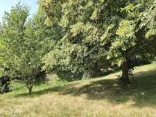 Maison en pierres BAGNAC SUR CELE (46)