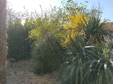 Maison de campagne VAILHOURLES (12)
