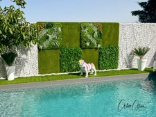 Dpt Haute Garonne (31), for sale near VILLEFRANCHE DE LAURAGAIS house of 271 m² - Land of 1,800 M² 