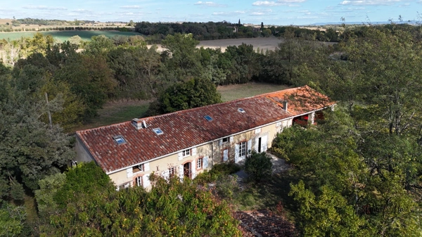 Authentique longère lauragaise de 250 m² avec piscine, dépendances et 2,5 hectares de terrain