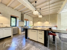 Dpt Haute Garonne (31), for sale near VILLEFRANCHE DE LAURAGAIS beautiful residence and gîte