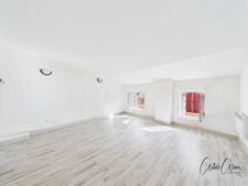 Dpt Haute Garonne (31), à vendre VILLEFRANCHE DE LAURAGAIS immeuble local et appartement T3