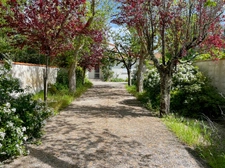 House for sale 8 rooms AYTRE (17)