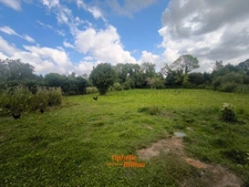 🏡 À vendre en exclusivité – Maison individuelle avec terrain de 2300 m² – Secteur Lillers