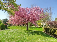 EXCLUSIVITÉ – Appartement 3 pièces avec jardin privatif