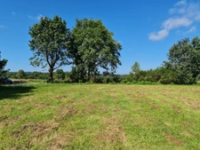 Terrain à vendre de 875 m² LIMERZEL (56)