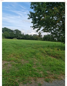 Terrain à vendre de 865 m² LIMERZEL (56)