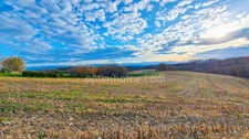 Proche de SAUVETERRE DE BEARN 