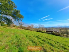 Proche de SAUVETERRE DE BEARN (64)