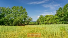 Proche de SAUVETERRE DE BEARN (64)