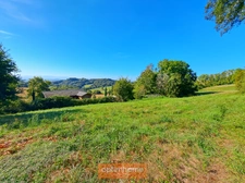 Proche de SAUVETERRE DE BEARN (64)
