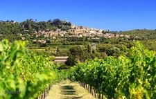 Programme immobilier neuf de 1 lot à Cavaillon (84300)