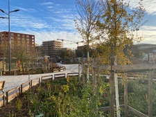 Programme immobilier neuf de 6 lots à Toulouse (31400)