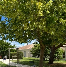 Programme immobilier neuf de 1 lot à Saint-Sulpice-de-Royan (17200)
