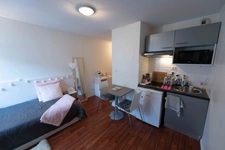 Programme immobilier neuf de 1 lot à Lyon (69007)
