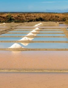 Programme immobilier neuf de 15 lots à Guérande (44350)