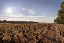 Programme immobilier neuf de 9 lots à Perpignan (66000)
