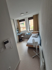 Programme immobilier neuf de 3 lots à Toulouse (31000)